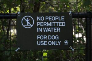 Dog Friendly Sign