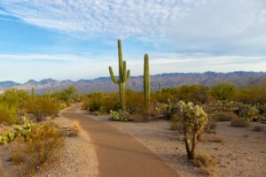 arizona nature