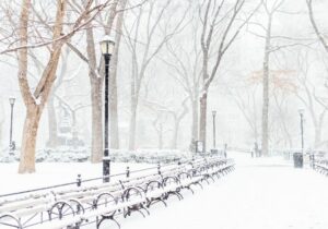 nyc during snow