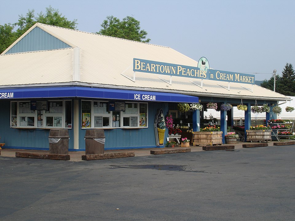 Best Places for Buying a Summer House Near NYC Expo Movers