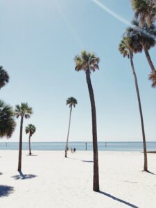 beach in tampa