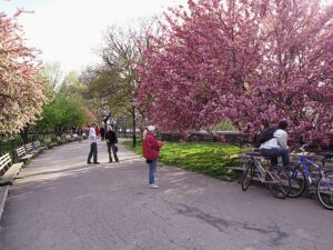 Riverside Park