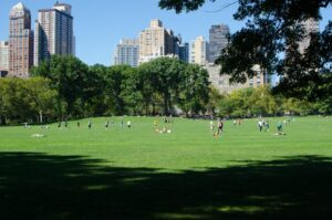 central park during the day