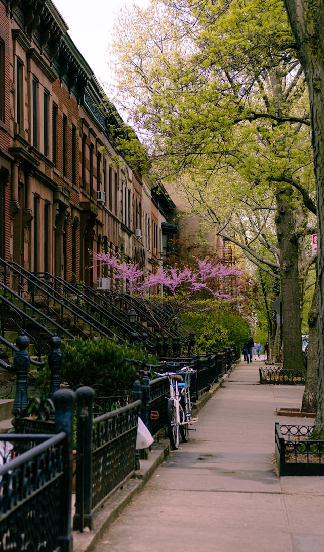 Park Slope