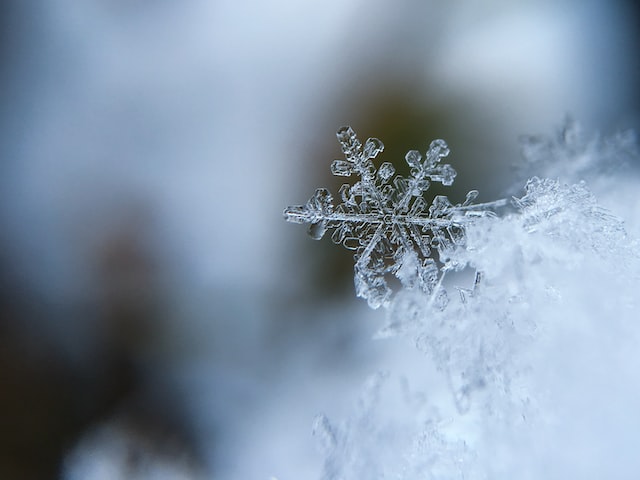 winter snowflake