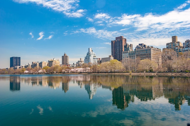 nyc central park view