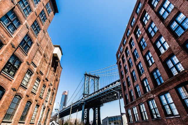 dumbo