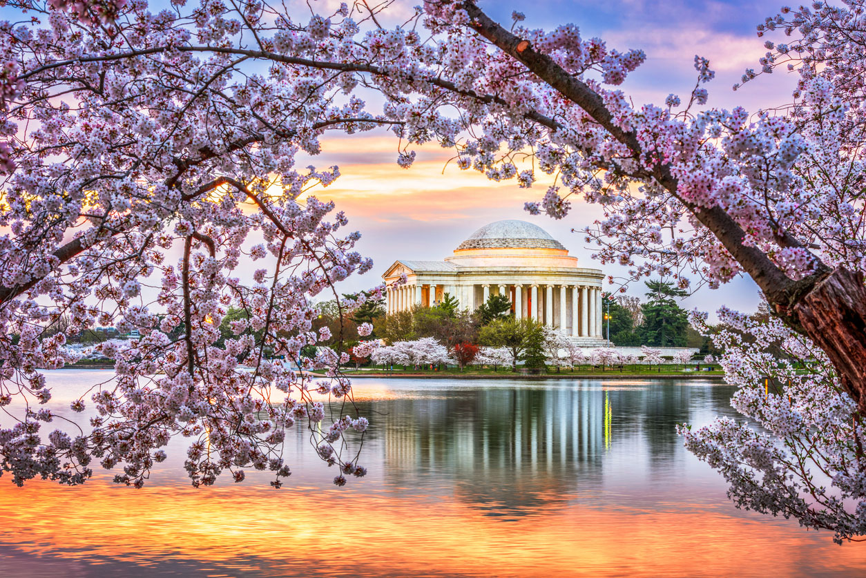 Washington dc